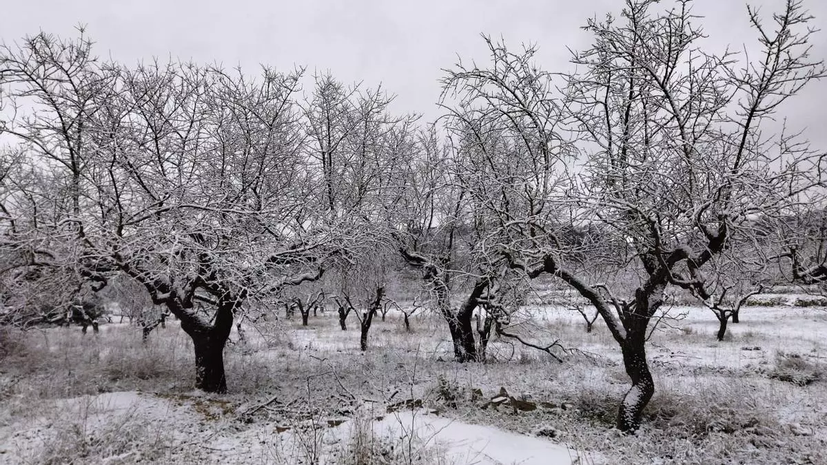 La nieve "transforma" la maravilla geológica de Els Arcs de Castell de Castells