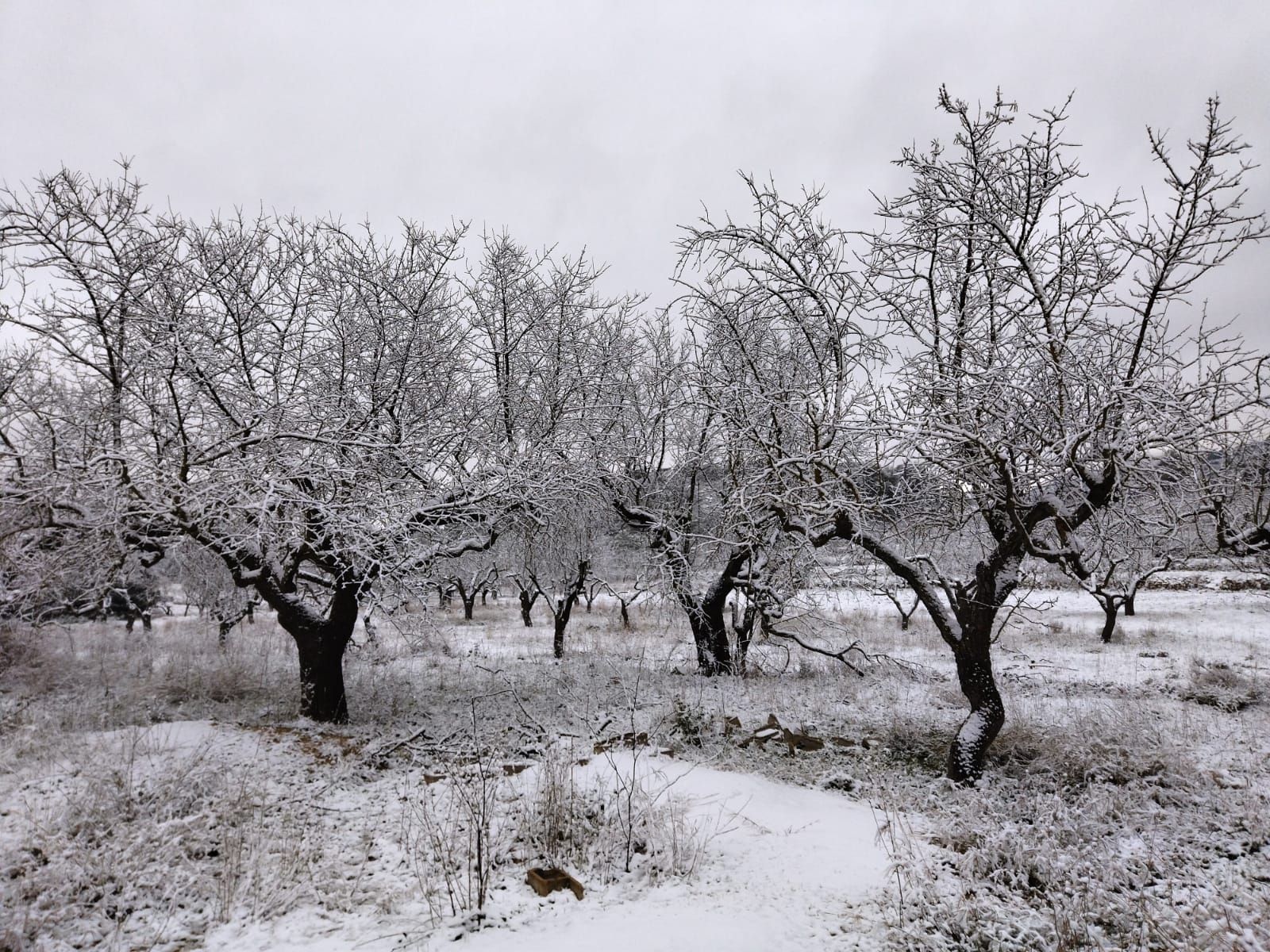 La nieve cubre Castell de Castells