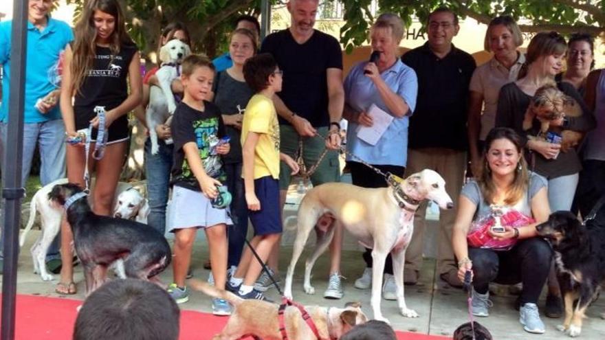 Fiesta solidaria de ayuda animal en Puerto Portals