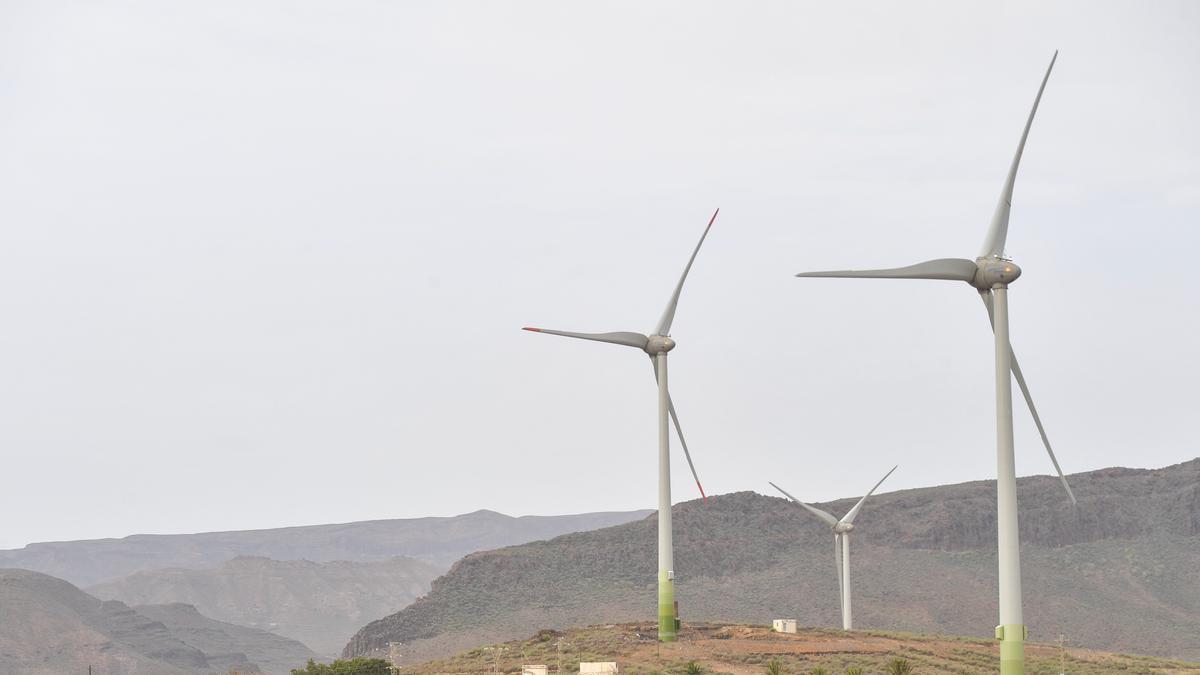 Parque eólico en el Sur de Gran Canaria.