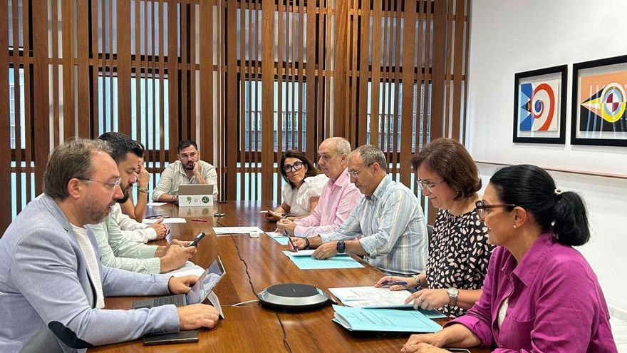 Consejo de Gobierno del Cabildo de La Palma.