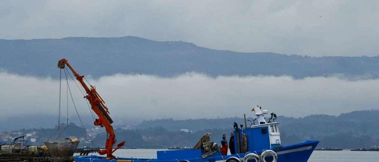 Un bateeiro en plena faena en la ría de Arousa. // Iñaki Abella