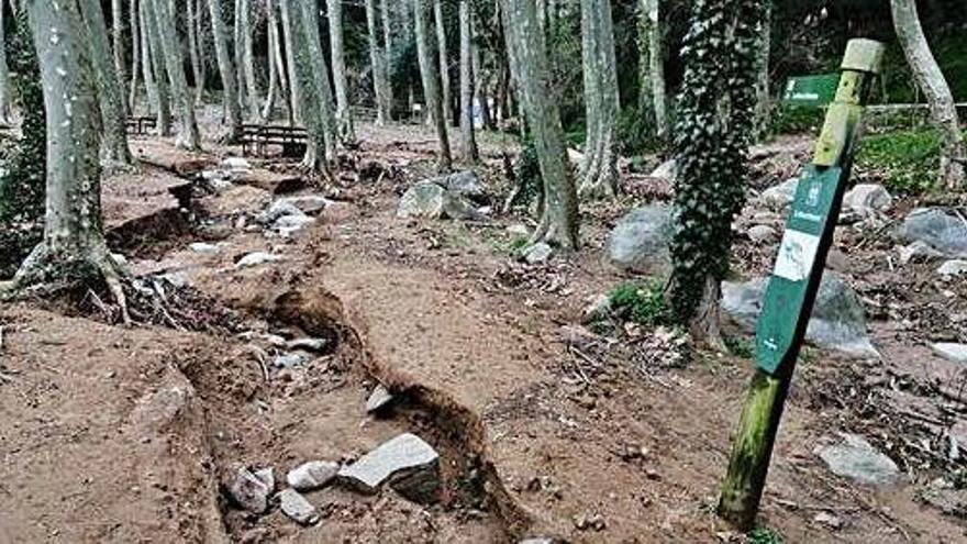 Un punt d&#039;Arbúcies amb un esvoranc causat pel temporal «Gloria».