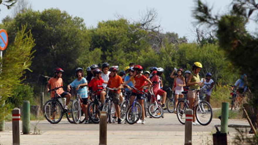 Un grupo de ciclistas tomando rutas en el parque de la Devesa-Albufera. Foto: Fernando Bustamante.
