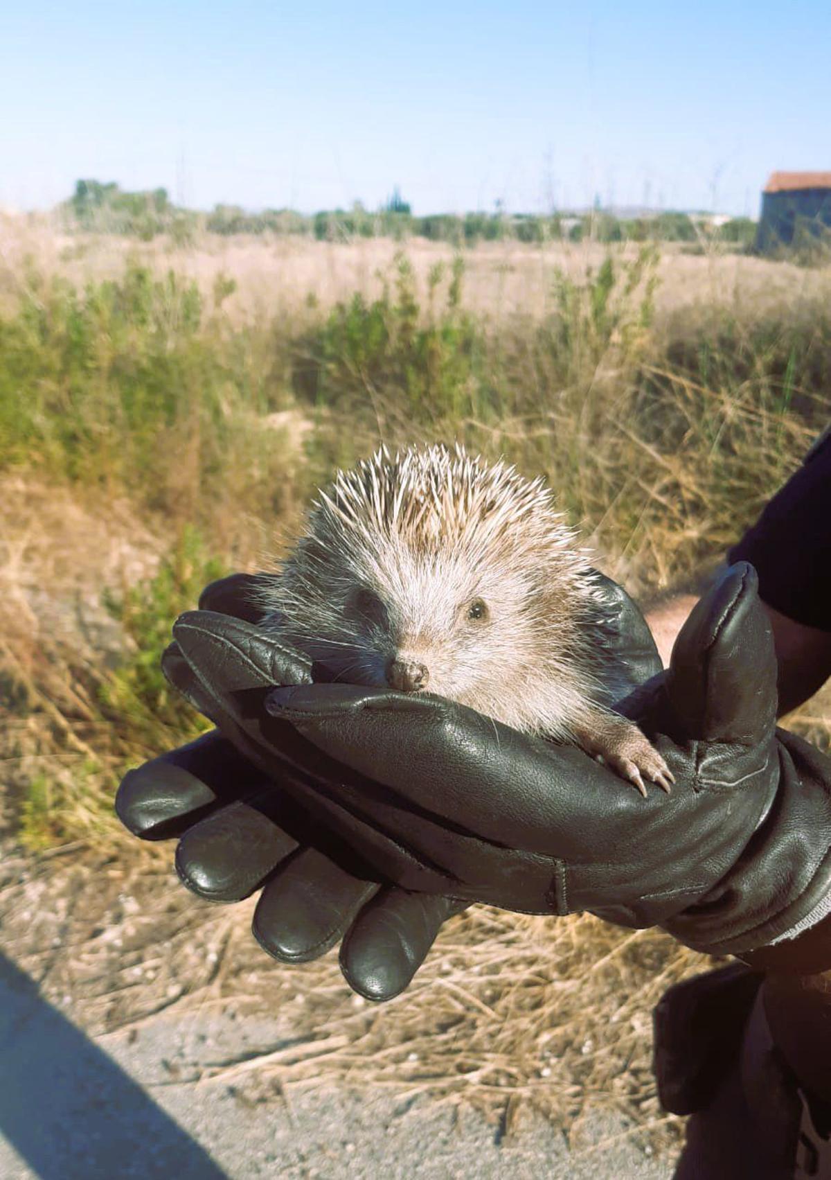 Educación ambiental con la brigada ambiental de la Policía Local de Elche
