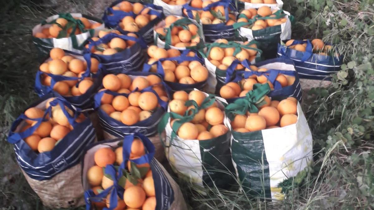 Sorprenden a unos ladrones con 300 kilos de naranjas en Sagunt