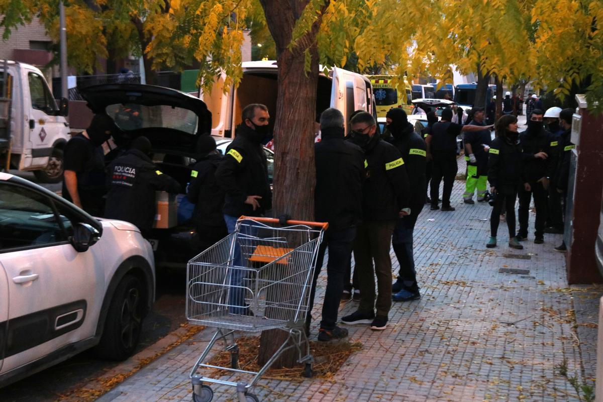 Dispositiu de Mossos contra plantacions de marihuana en vivendes de Constantí (Tarragona)