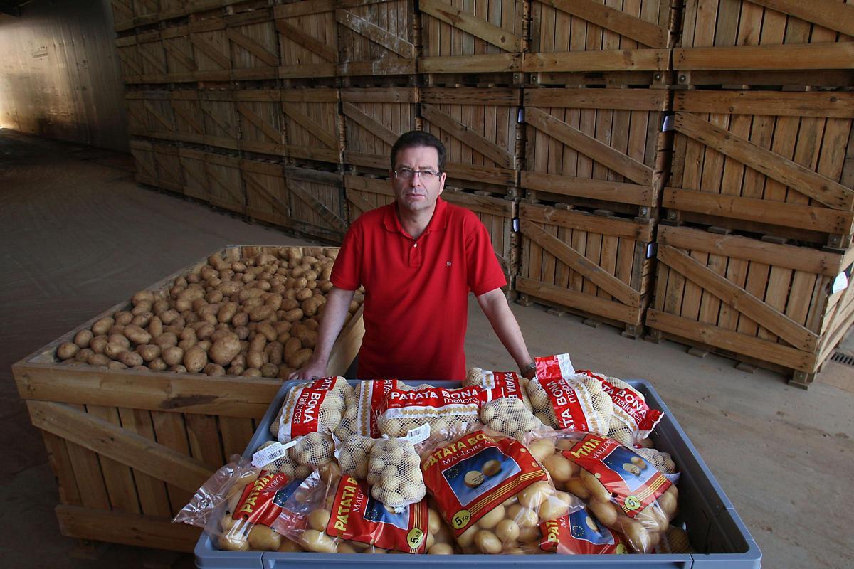 Una imagen de archivo del gerente de s'Esplet, Joan Company, junto a sacos de patatas de la marca 'Patata bona' que comercializaba la cooperativa.