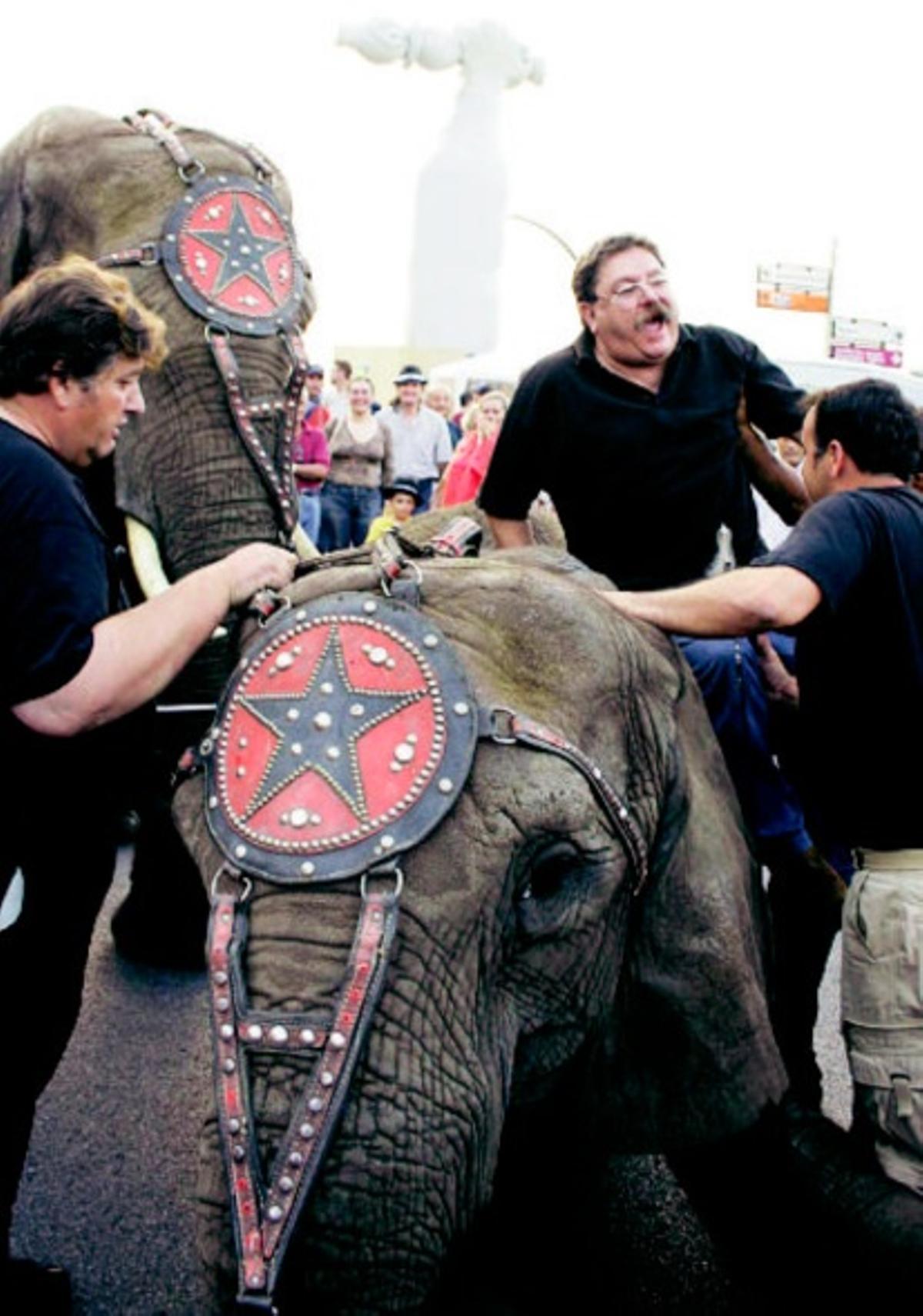 Taibo II, sobre un elefante, a finales de los noventa camino de la Semana Negra en El Molinón.