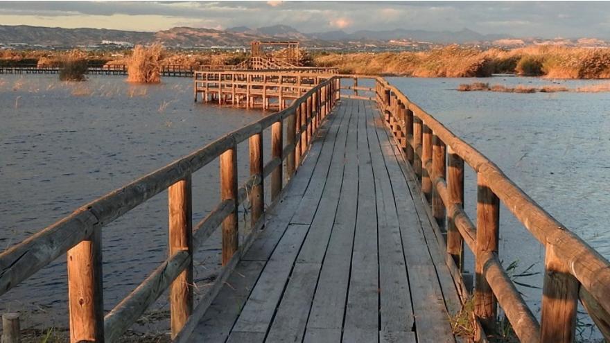 Parque Natural de El Hondo