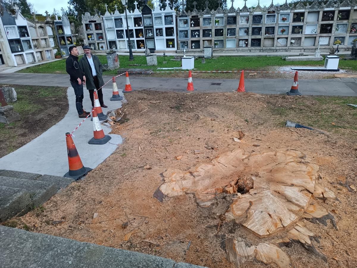 El responsable de Mundo Verde, José Ramón Freijomíl, y el alcalde de Bueu, Félix Juncal, en una de las zonas del cementerio de Beluso en las que se talaron los cipreses.