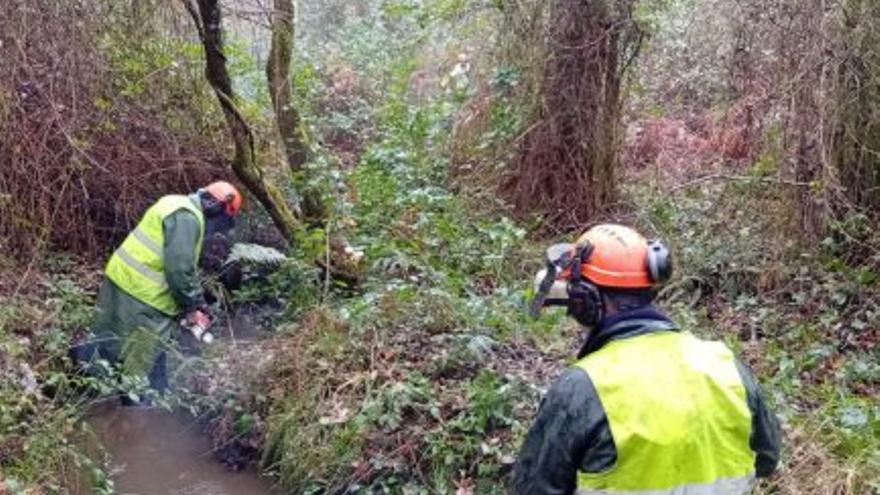 La limpieza del río. |  LOC