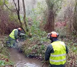 La Xunta limpia más de siete kilómetros en los ríos Mandeo, Mendo y Xerpe