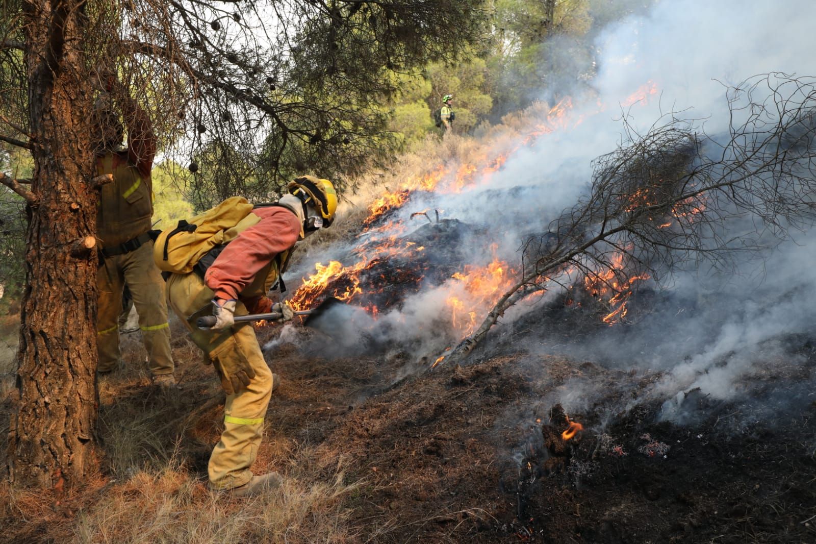 En la primera línea de la extinción del fuego