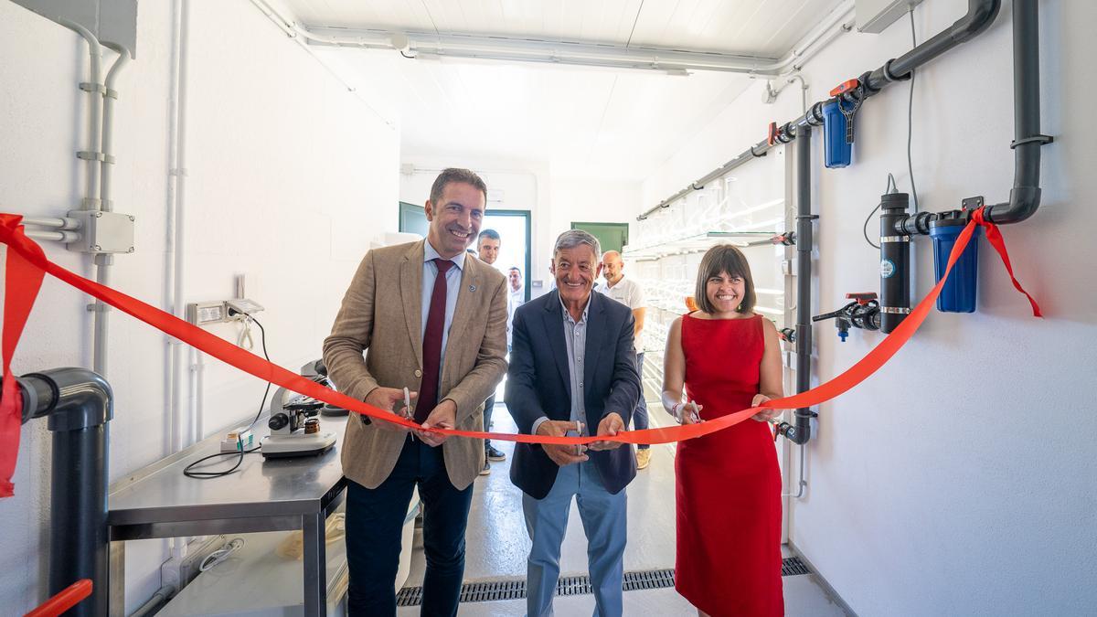 Alfonso Villares, Manuel Fernández e Iria Malvido cortan la cinta de inauguración de la planta de cría de semilla de almeja en O Hío.