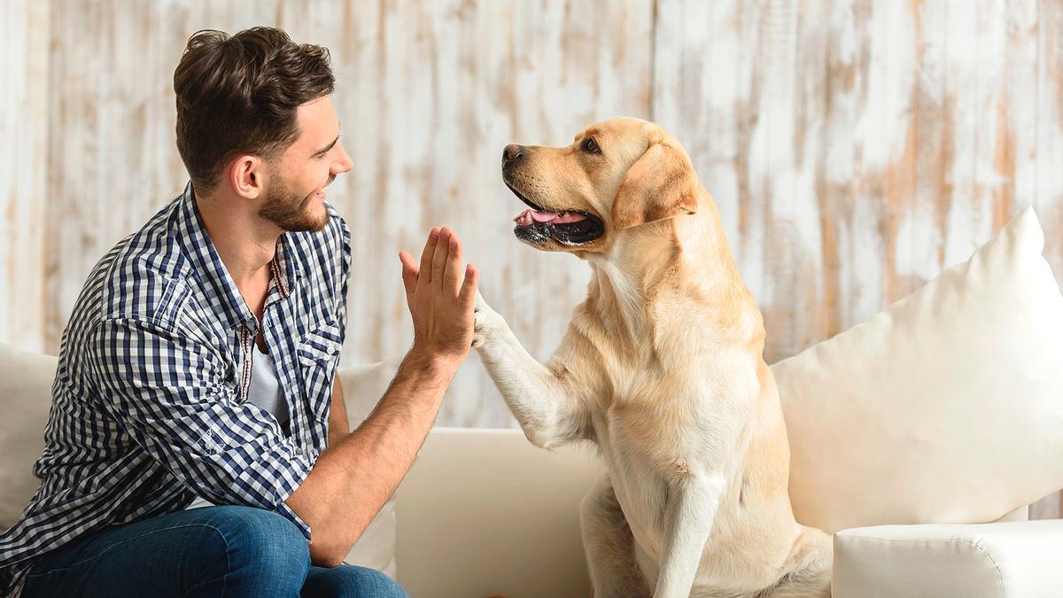 PERROS | Los dos sencillos pasos para enseñar su nombre a tu perro o gato