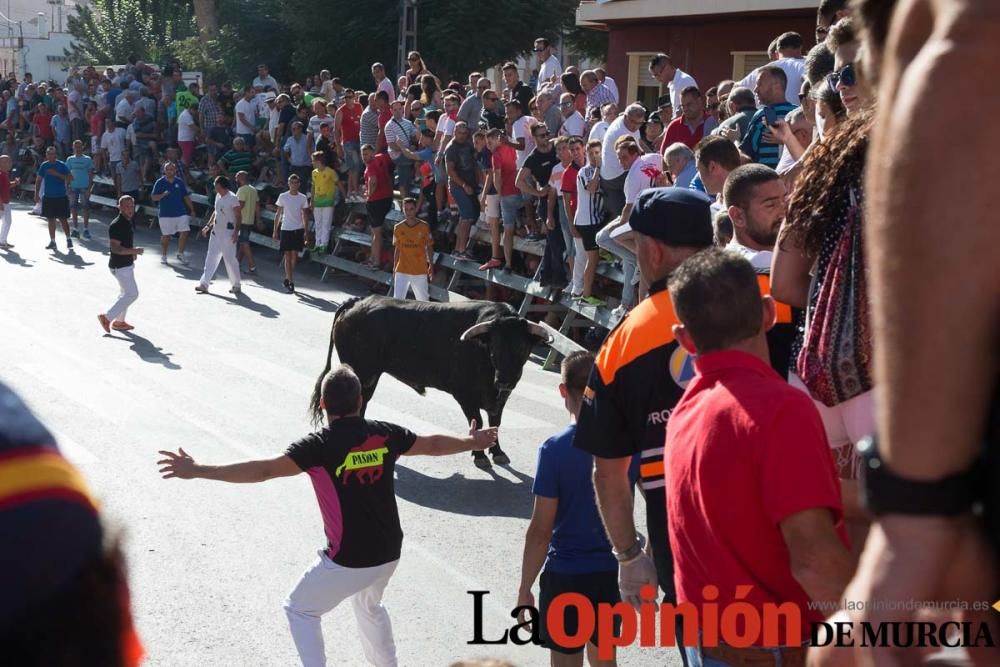 Primer encierro de Calasparra