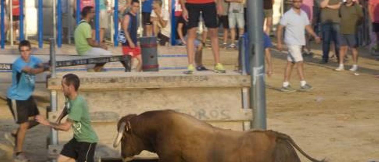 Sagunt prescindirá de los cerriles, pondrá vigilantes taurinos y ampliará los corrales