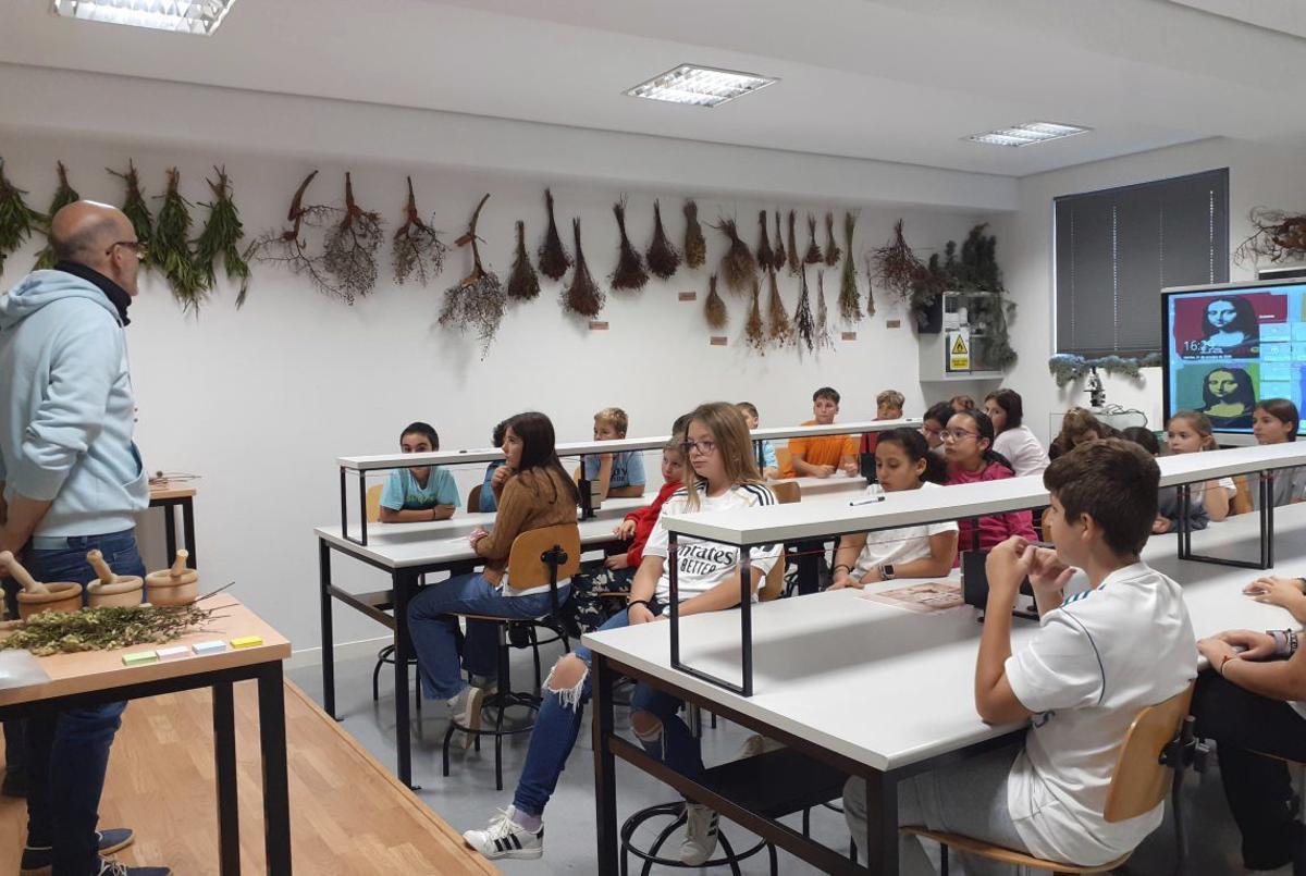 Las enseñanzas de lo rural