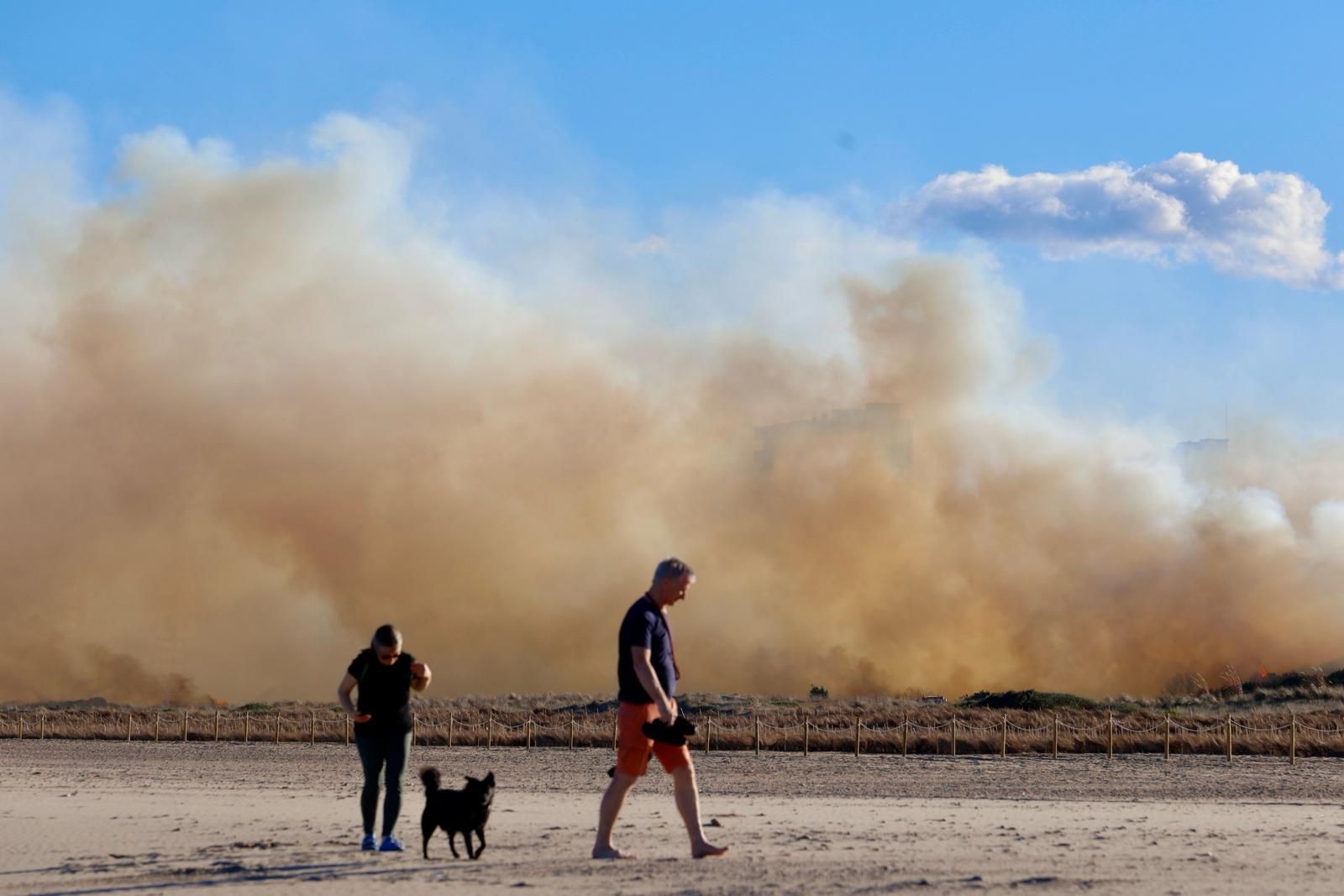 Declarado un incendio en el Saler