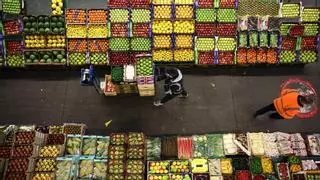 El cambio climático pone en riesgo el abastecimiento de verduras al Reino Unido desde España