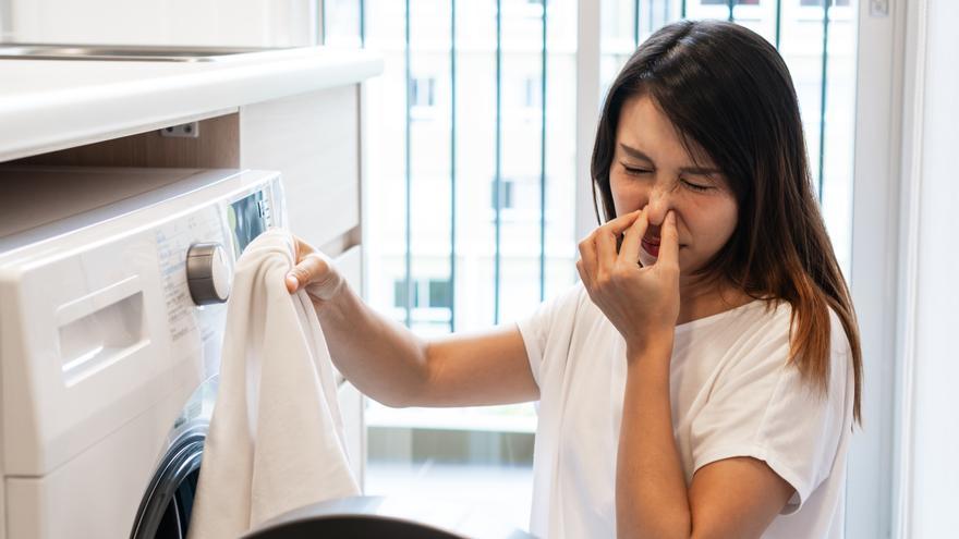 Dile adiós al moho: Cómo limpiar la goma de la lavadora de manera efectiva