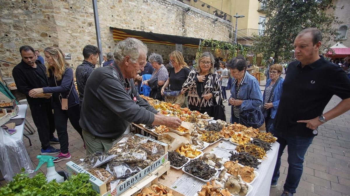 El 'mercat del bolet', acto principal de la Fira del Bolet de Llagostera.