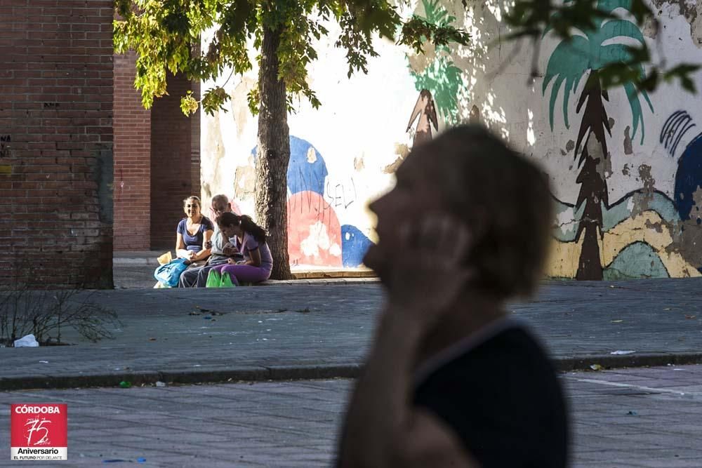 FOTOGALERÍA / La situación actual de las Palmeras