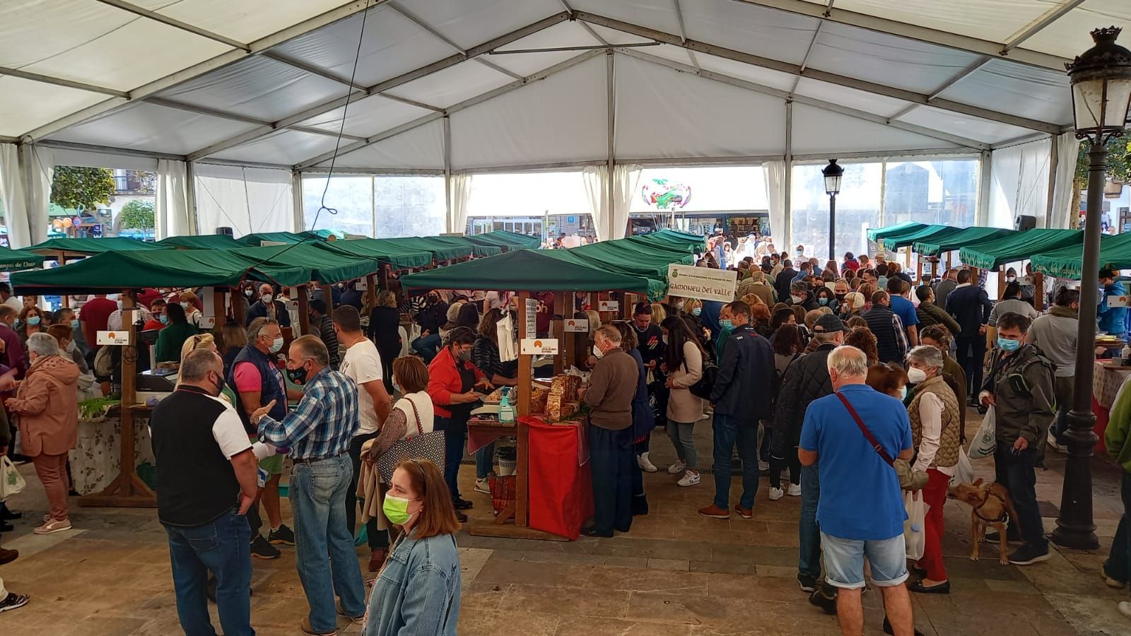 Cangas de Onís, a tope con el certamen quesero de los Picos de Europa y la Feria de la Miel