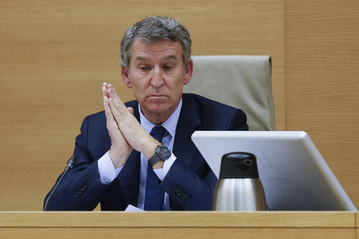 El líder del PP, Alberto Núñez Feijóo, comparece ante la comisión del Congreso que investiga la gestión de la dana.