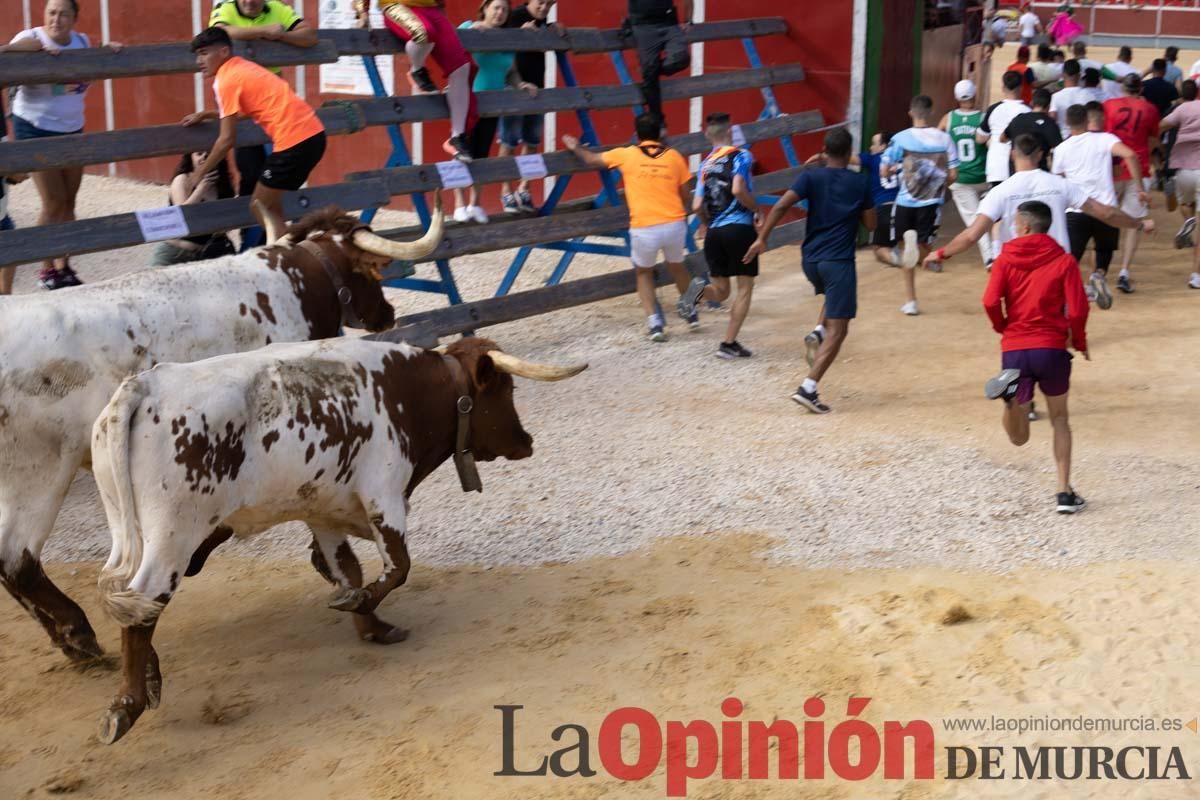 Primer encierro de la Feria del Arroz de Calasparra