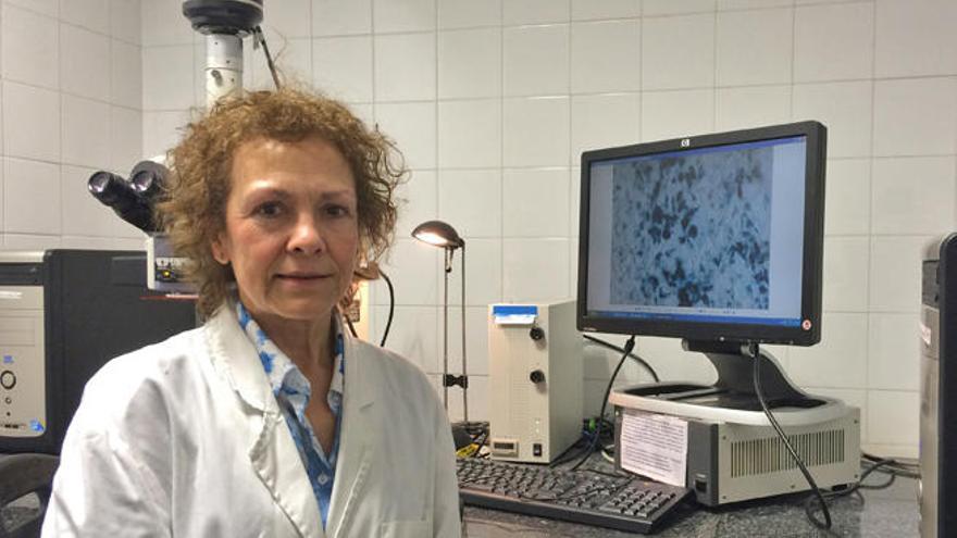 Coral Sanfeliu, en su laboratorio.