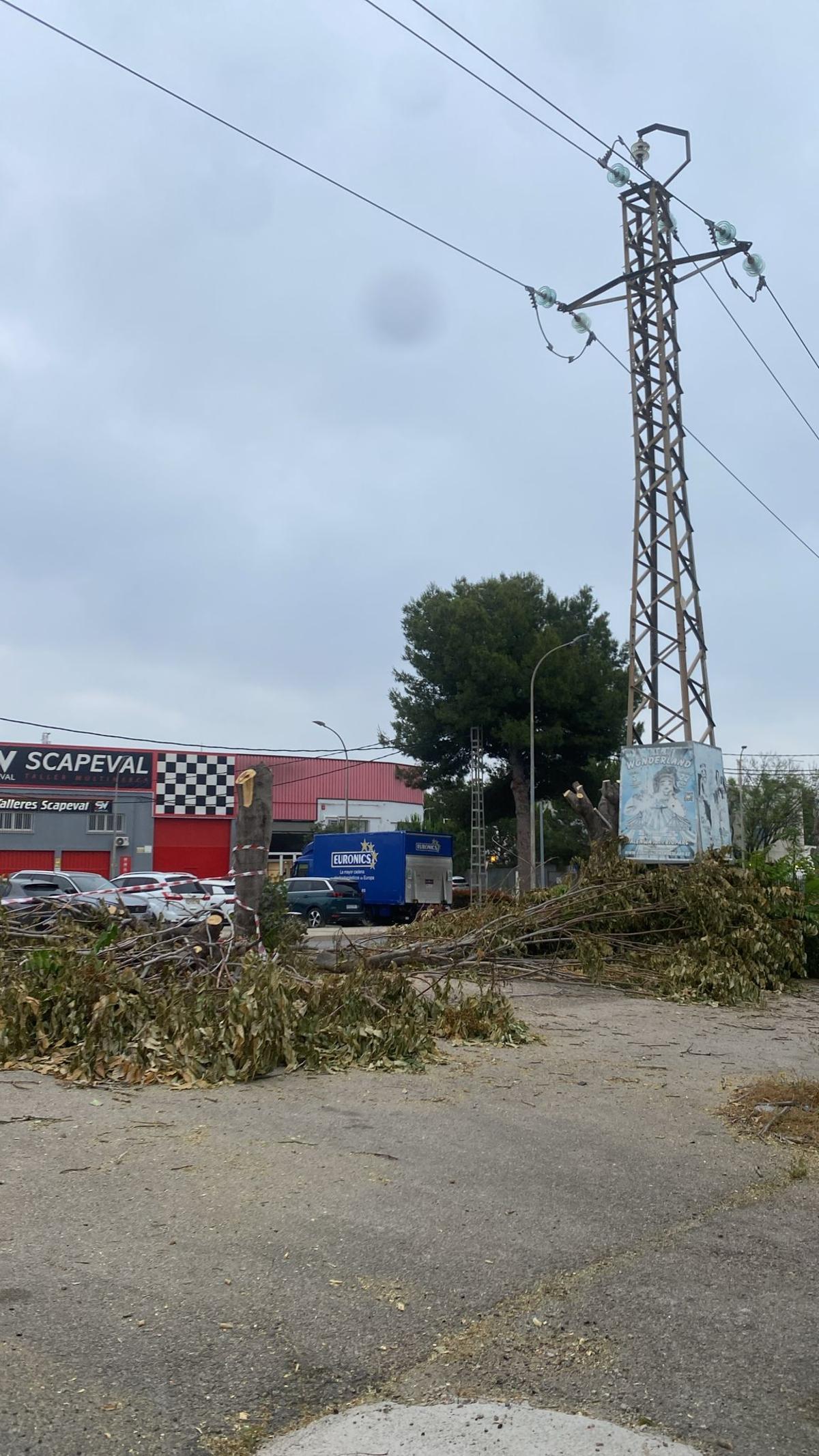 Árbol talado bajo una línea de alta tensión