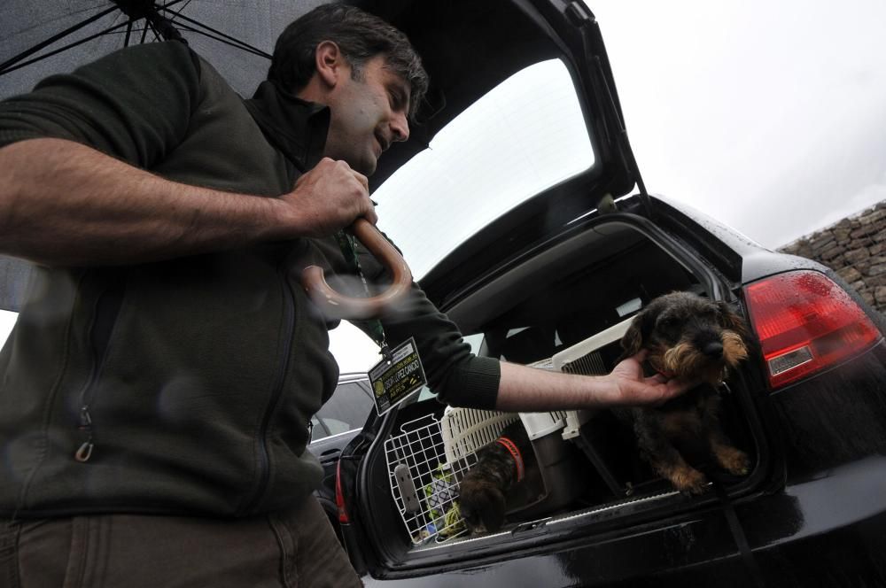 Curso de rastreo con perros de sangre