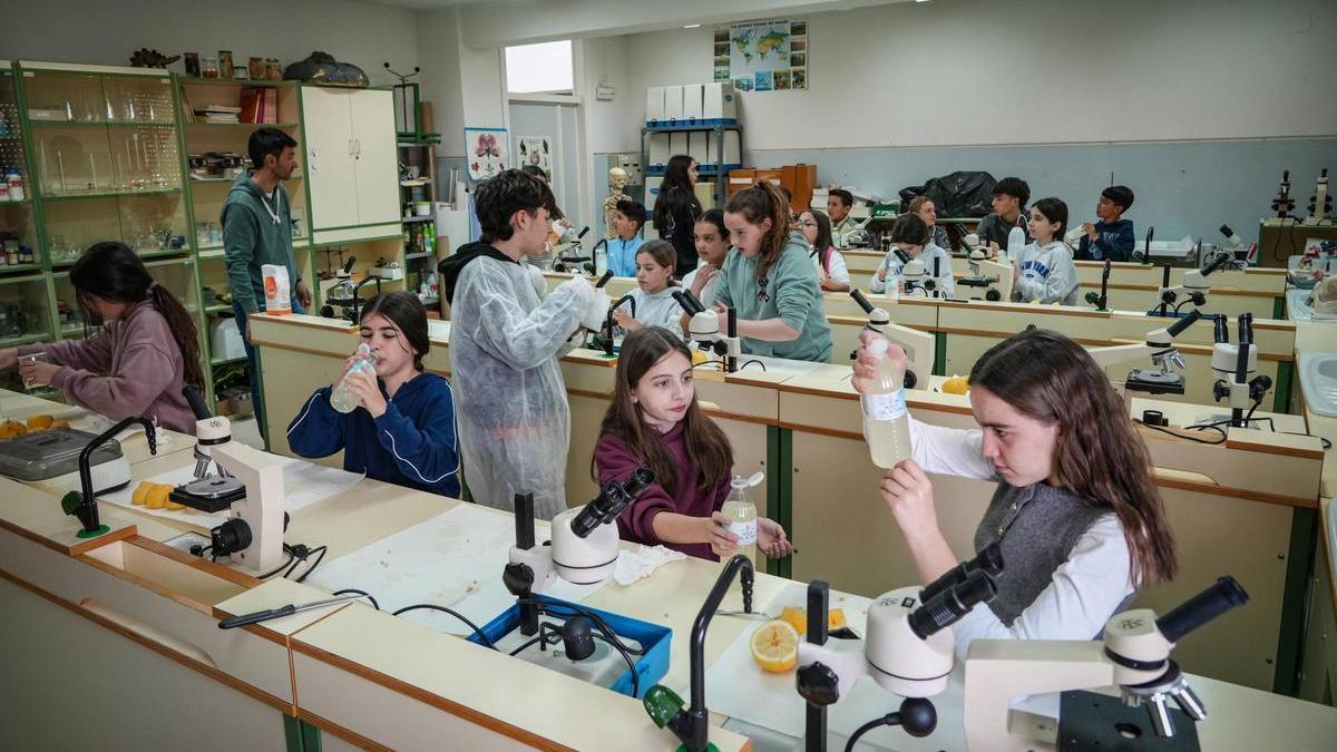 Vídeo | Así es el campus científico liderado por el IES San Roque de Badajoz