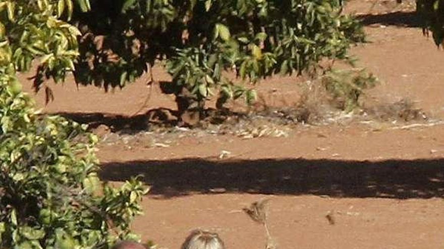 Bretón, con gafas negras, ayer en la finca cordobesa de sus padres. / efe