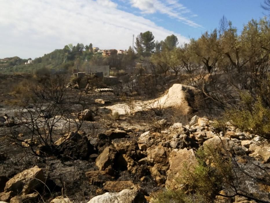 Paisaje que ha quedado en Bolbaite tras el paso del fuego.