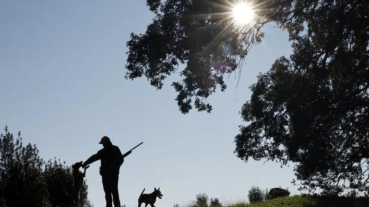 Un cazador en el campo con sus perros