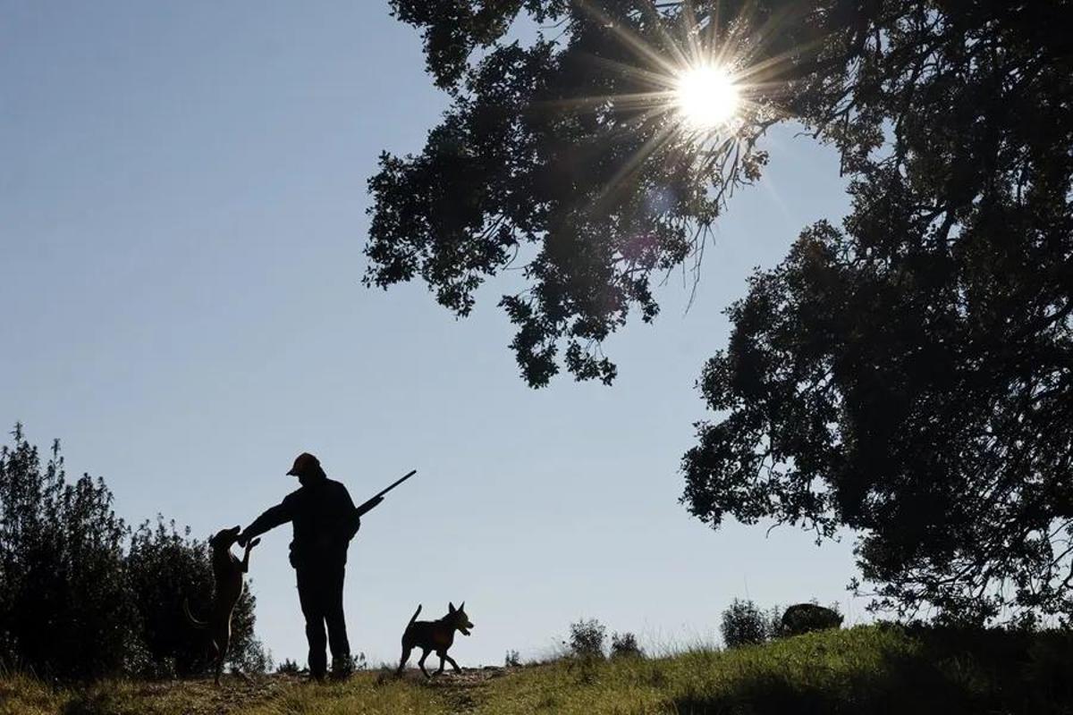 Un cazador en el campo con sus perros