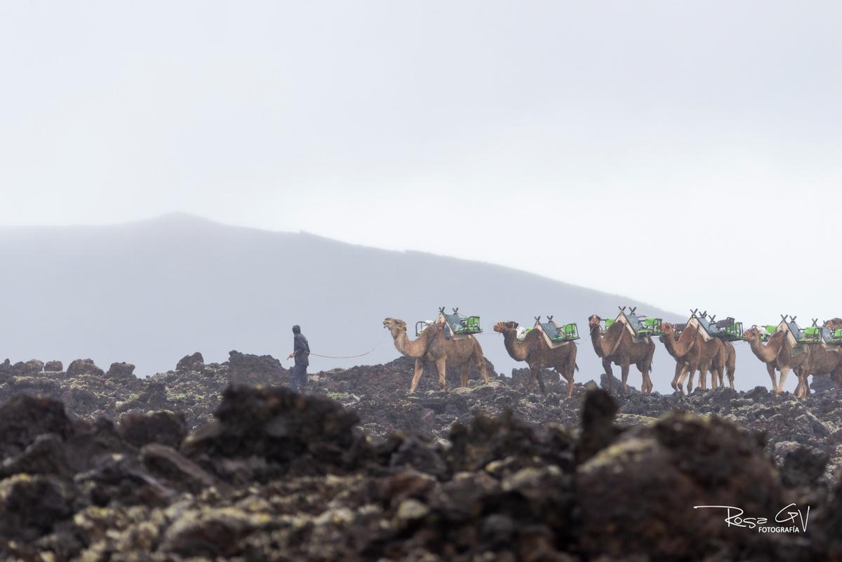Lluvias en el municipio de Yaiza, en Lanzarote (13/01/25) Lluvias en el municipio de Yaiza, en Lanzarote (13/01/25)