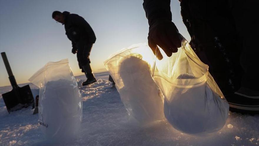 Los microplásticos ya llegan al hielo antártico