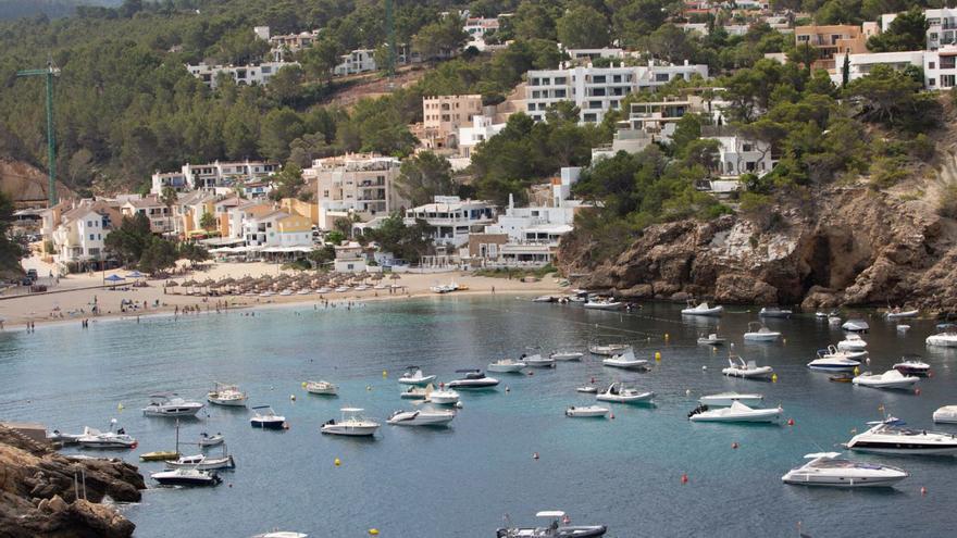 Playas de Ibiza: Más de 320.000 euros contra las microalgas de Port des Torrent y Cala Vedella