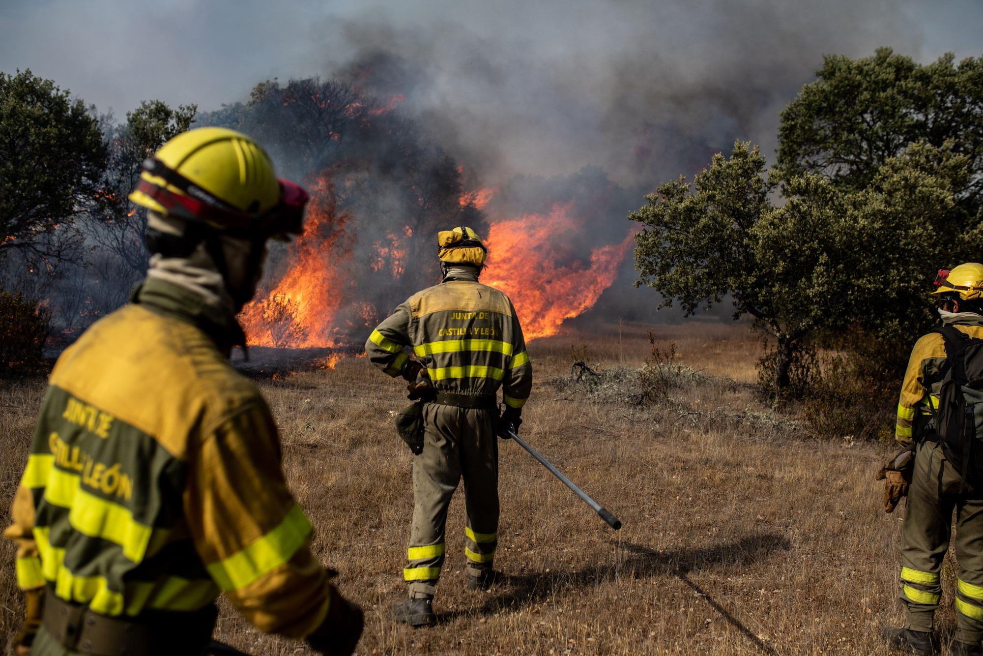 So wüten die Waldbrände während der Hitzewelle in Spanien