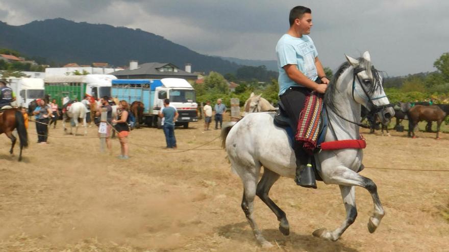 Un jinete mostrando sus habilidades con su caballo en el recinto de San Bartolomé