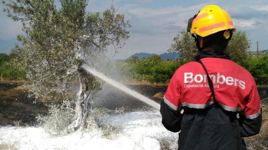 Un bombero extinguiendo el fuego de un olivo