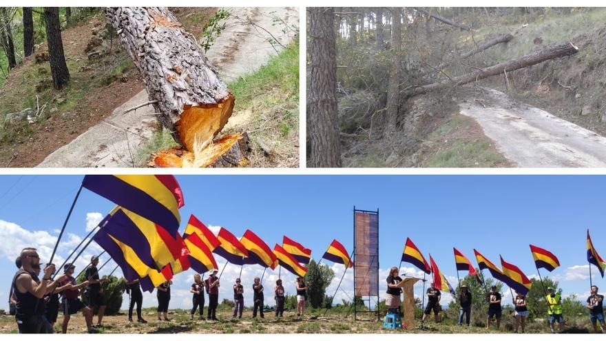 Denuncian un intento de sabotaje a un acto republicano en Castellón: &quot;Talaron pinos para obstaculizar el camino&quot;