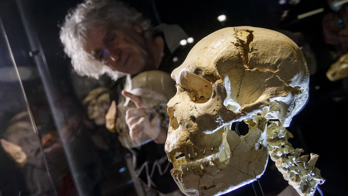 ATAPUERCA DIETA | Carne y vegetales: así fue la dieta de los homínidos de Atapuerca hace 450.000 años