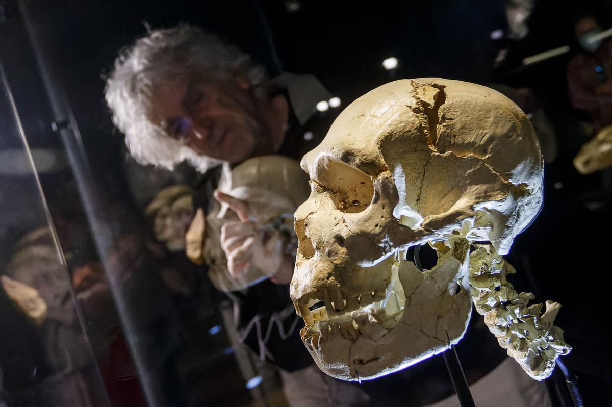 Carne y vegetales: así fue la dieta de los homínidos de Atapuerca hace 450.000 años.
