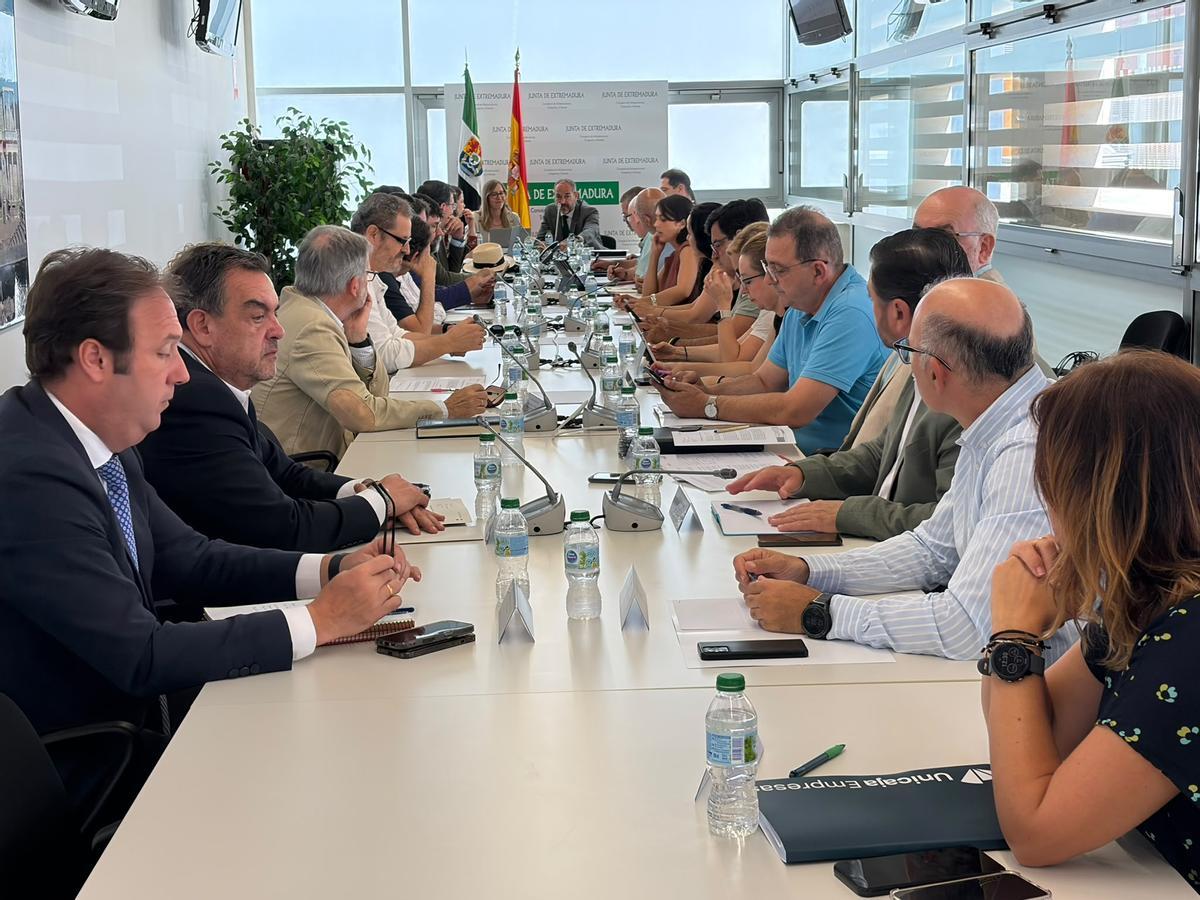 Consejo Asesor de Vivienda de Extremadura, este lunes.