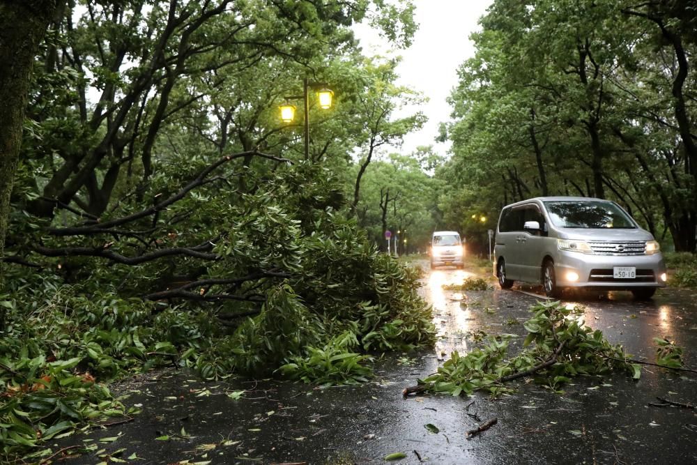 Devastación provocada por el tifón Jebi en Japón